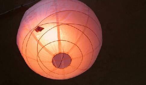 小草的小草的诗句