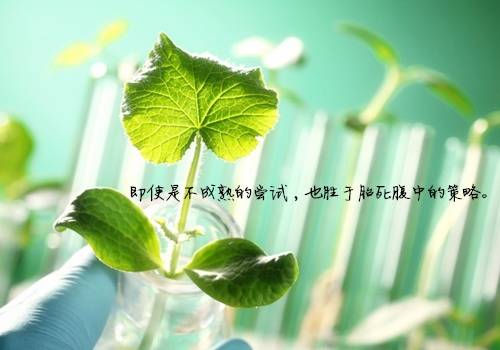 金佛山导游词英语