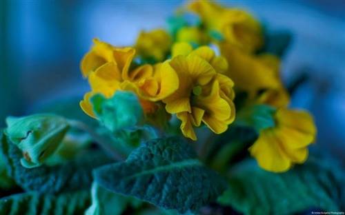 描写古镇的诗句和词语