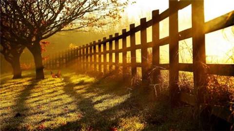 赞美梅的典故诗句