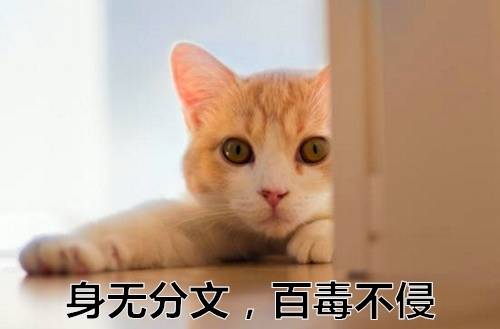 粤语中表示叹气的诗句