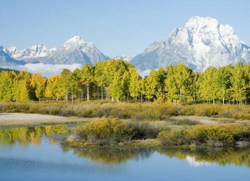 关于寺庙红花的诗句