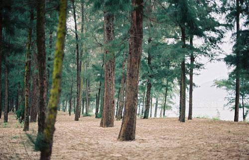 时间能回到从前的诗句