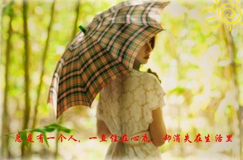 写文化的古诗词