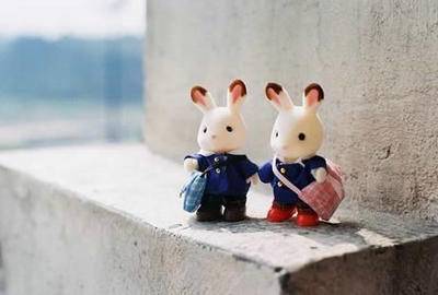 春天燕子的诗句古诗