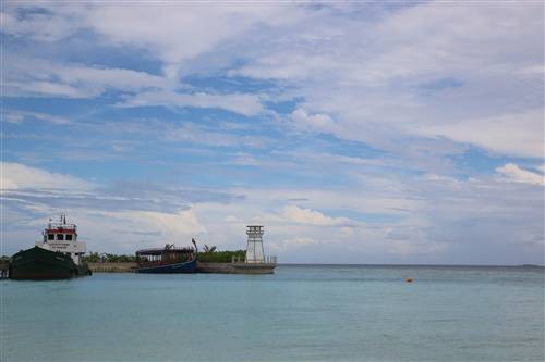 春怀诗句的意思