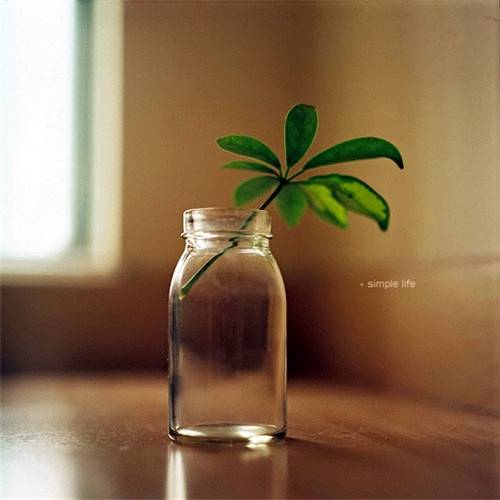 虎字七个字的诗句