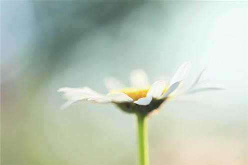 朋友短暂相聚的诗句