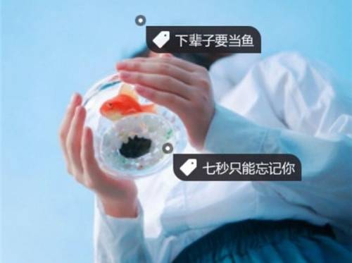 表达了离别之情的古诗