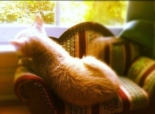 中华美食胡辣汤古诗