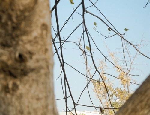 暗示美味的诗句