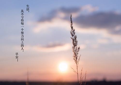 57首经典古诗词