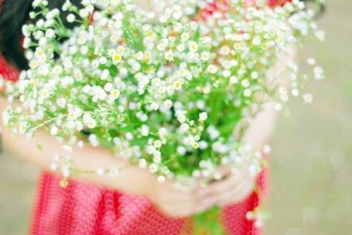 江南曲古诗的意思