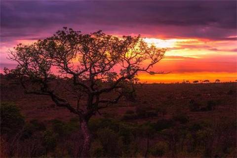 形容舞剑迎风的诗句