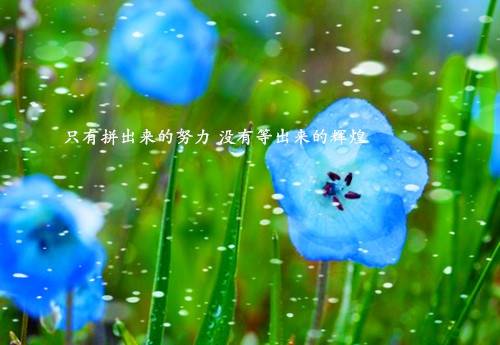 斩断情谊的诗句