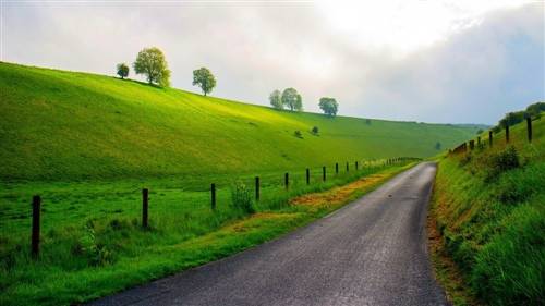 叶公好龙的古诗改写