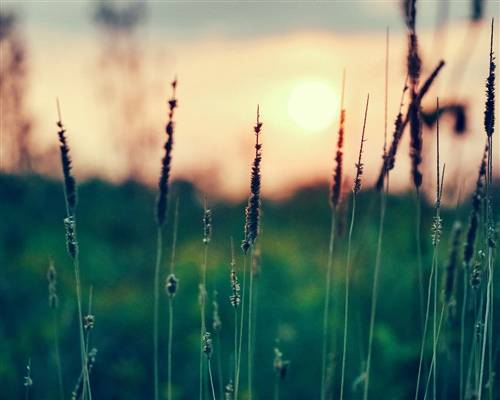 形容大雨很急的诗句