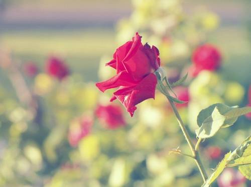 往前走不要回头诗句