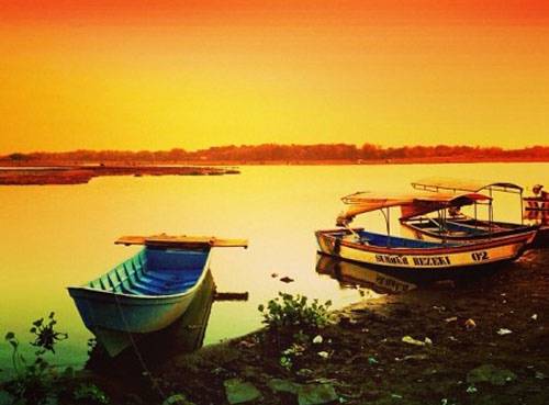 需要美人陪伴的诗句