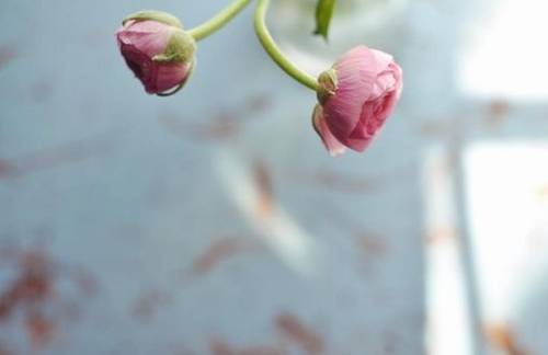 形容视野开阔的诗句