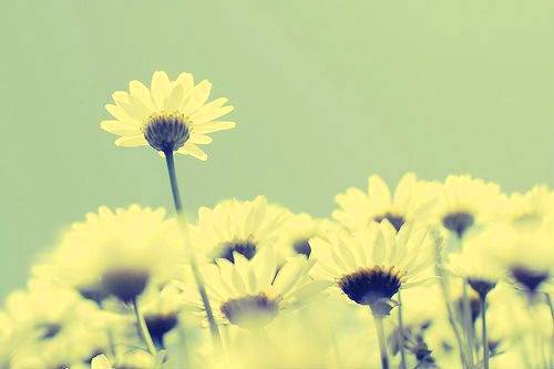 儿童会读古诗文案