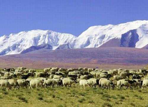 胜利归来的诗句