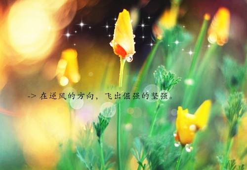 中秋节祝福的诗句