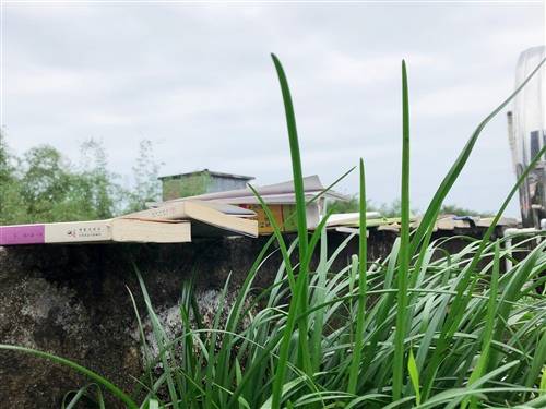 西陵峡的诗句名句