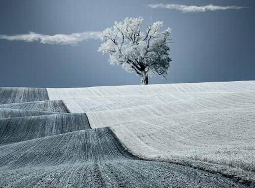 可以取名字的诗句女孩