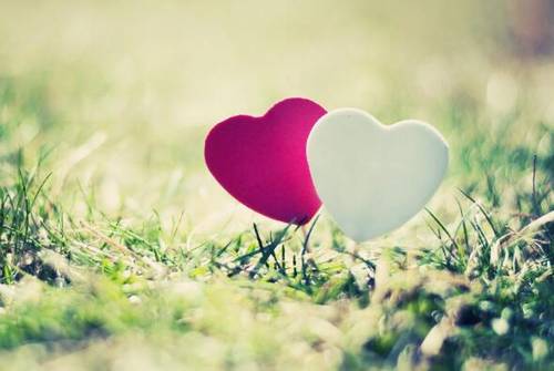 菱角花的古诗词