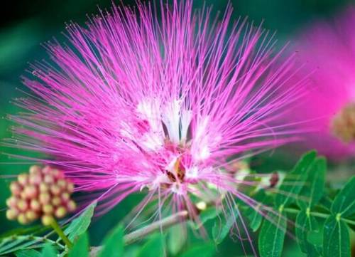 生活中的浪花诗句