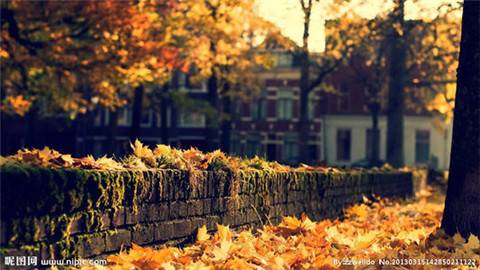 古诗里的故事赠汪伦