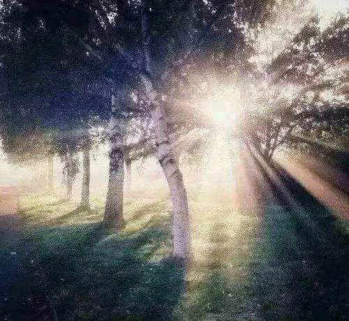 两人去爬山的诗句