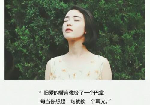 形容黄花的两句诗句