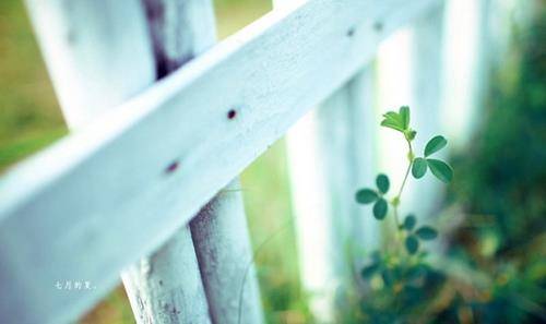 像古诗一样的文章