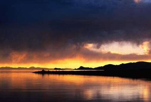 勉励读书的诗句