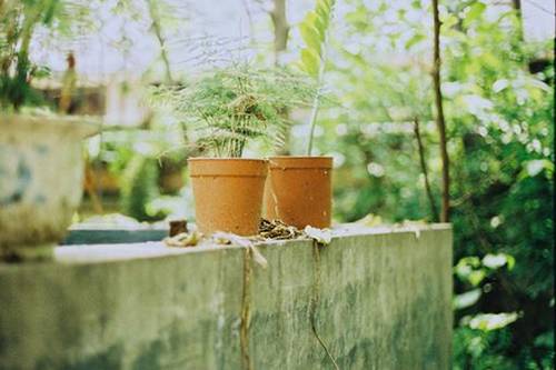 描绘岭南暴雨优美诗句