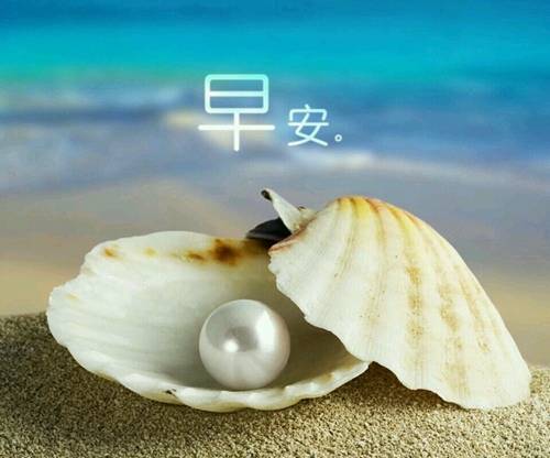 白云绿草抱红颜的诗句