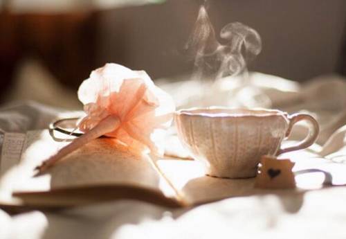 山都之市导游词