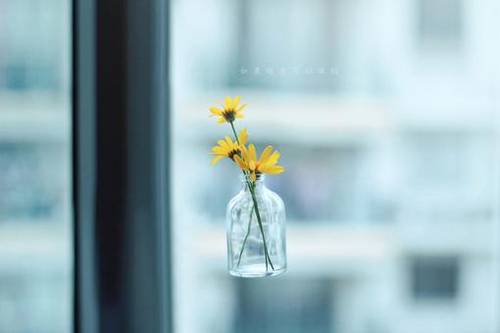 皖南古建筑导游词