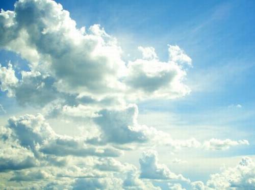 含冬的诗句飞花令小学