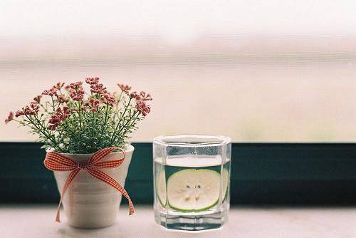 安徽中考语文古诗词