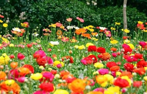 带有光美的诗句