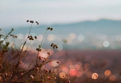 夸律师很棒的诗句