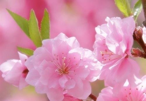 写门石窟的导游词