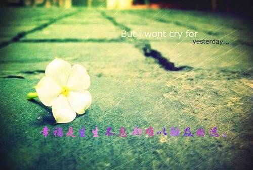 坚强意志的古诗