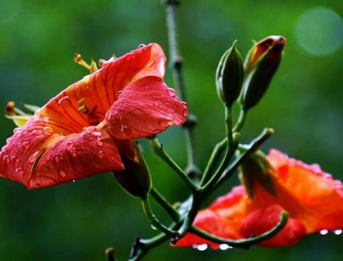 必修3语文古诗鉴赏