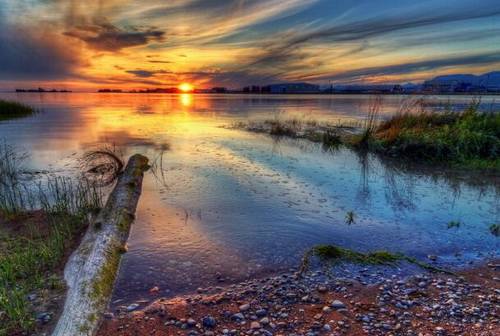 不怕生活磨难的诗句