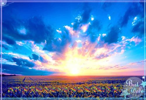 赞美老太太的诗句