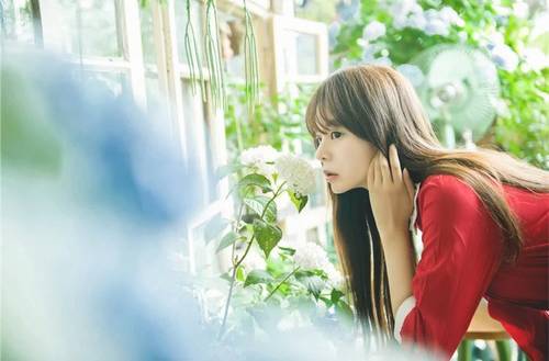 咏华山古诗意思